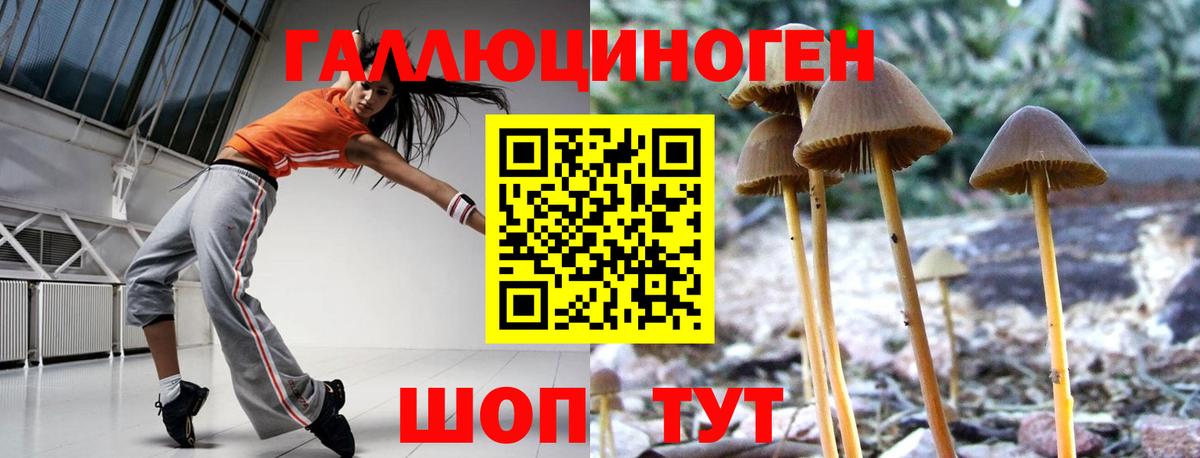 Галлюциногенные грибы прущие грибы Новозыбков